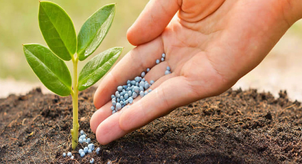 超實(shí)用!農(nóng)作物肥料進(jìn)口清關(guān)流程以及單證資料