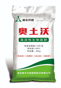 冬天大棚西紅柿這樣管理,高產(chǎn)不愁