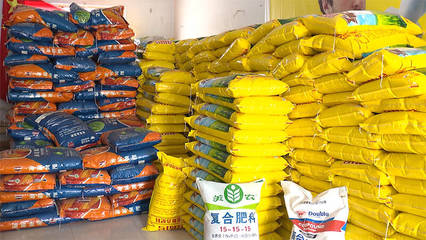 嚴查假種子、假肥料&hellip;德州各地開展農資市場專項檢查,為春耕生產保駕護航